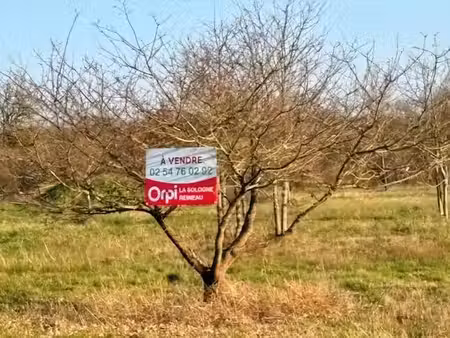 vente terrain 1290 m² à châtres-sur-cher (41320)  20 500 €