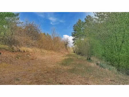 vente terrain 13903 m² à marey-sur-tille (21120)  10 000 €