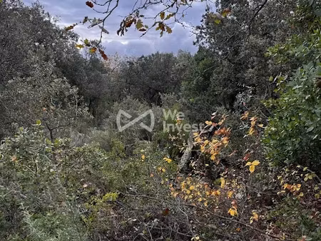 vente terrain 33565 m² à tourves (83170)  31 000 €