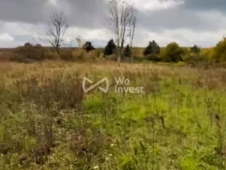 vente terrain 4791 m² à roncheres (89170)  69 000 €