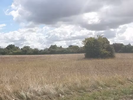 vente terrain 677 m² à meursac (17120)  64 400 €