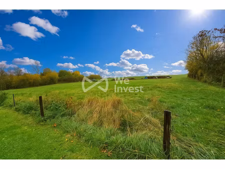 vente terrain 3379 m² à villers-cernay (08140)  69 000 €