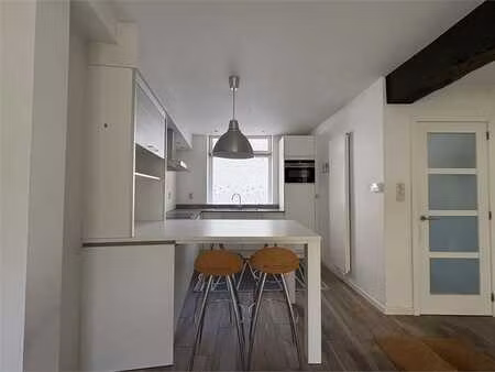 lichtrijke woning in het centrum van brugge