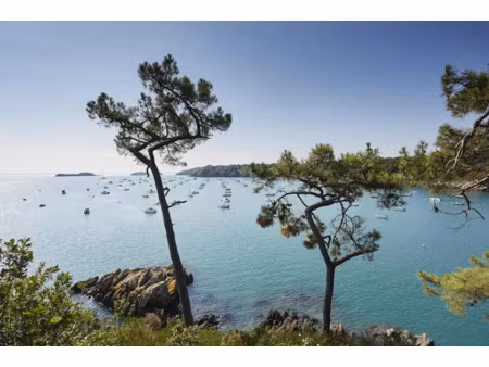 vente terrain 434 m² à cancale (35260)  182 000 €