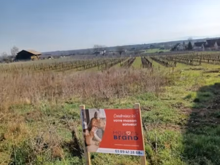 vente terrain 459 m² à beblenheim (68980)  133 000 €