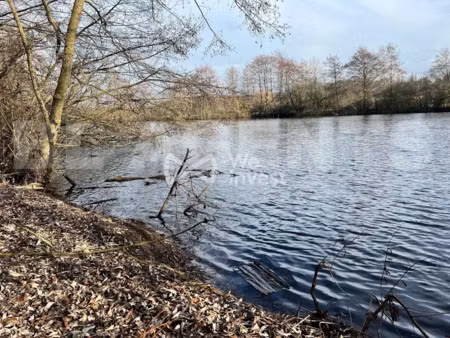 vente terrain 11640 m² à donchery (08350)  95 000 €