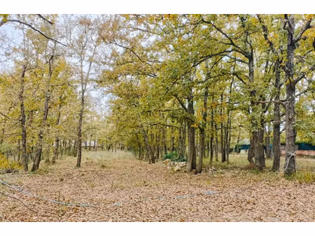 vente terrain 700 m² à trans-en-provence (83720)  139 000 €