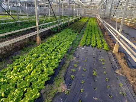 vente terrain à machecoul (44270) : à vendre / 7500m² machecoul