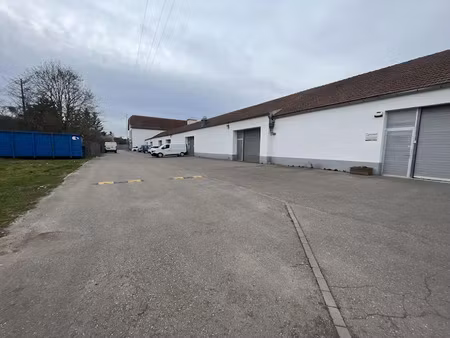 vente locaux professionnels 351 m² à mutzig (67190)  315 000 €
