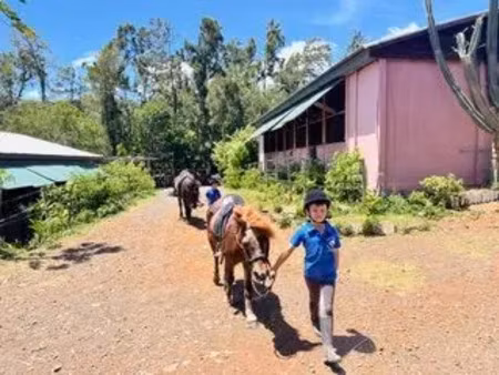 vente locaux professionnels 15026 m² à saint-denis (97400)  1 090 000 €