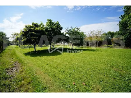 vente terrain 1086 m² à tournefeuille (31170)  190 000 €