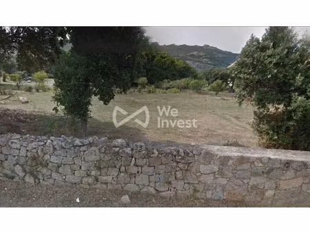 vente terrain 1000 m² à calvi (20260)  453 000 €