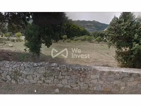 vente terrain à batir 945 m² à calvi (20260)  427 800 €