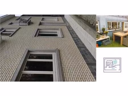 maison à louer à hasselt ten broek 7 9521 letterhoutem (rwc41987)