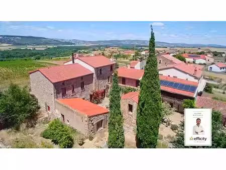 vente propriété 11 pièces 330 m² à orsonnette (63340)  349 500 €