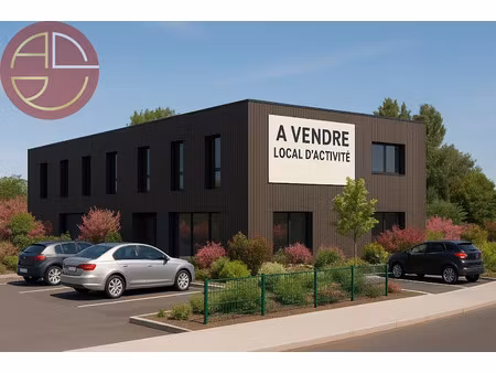 vente locaux professionnels 407 m² à castanet-tolosan (31320)  619 150 €