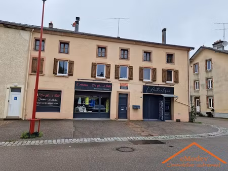 vente immeuble 507 m² à docelles (88460)  199 000 €