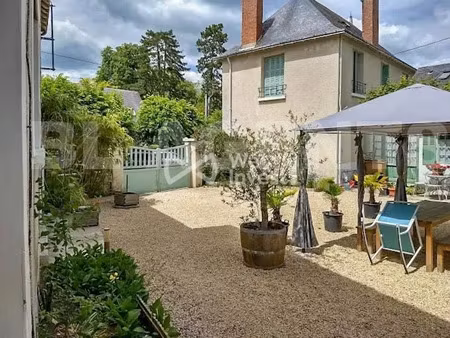 vente immeuble 560 m² à la roche-posay (86270)  409 000 €