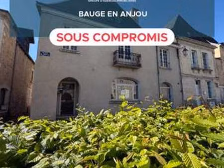 vente maison piscine à baugé-en-anjou (49150) : à vendre piscine / 173m² baugé-en-anjou