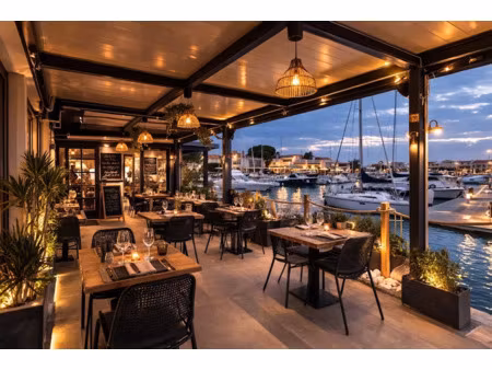 location locaux professionnels à saint-cyprien (66750)  1 380 €