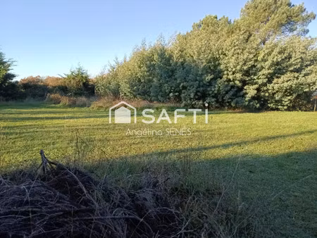 vente terrain 3099 m² cartelègue (33390)