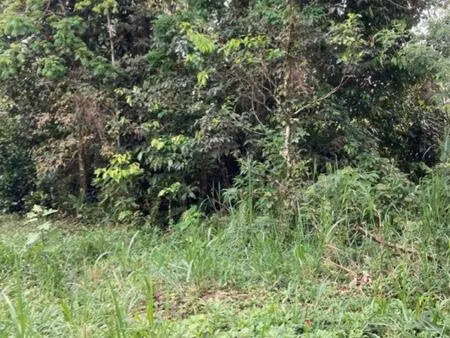 vente terrain 5000 m² le lamentin (97232)