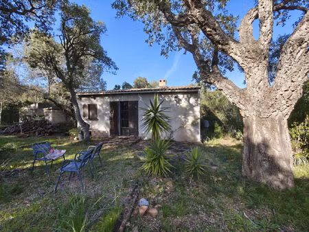 vente maison 1 pièce 41 m² zonza (20124)