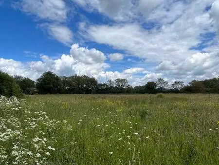 vente terrain au cellier (44850) : à vendre / 1000m² le cellier