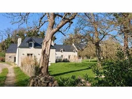 vente maison à plovan (29720) : à vendre / 296m² plovan