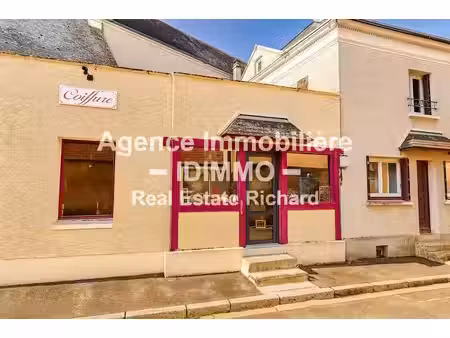 vente immeuble 6 pièces 117.5 m² à corbeilles (45490)  155 000 €
