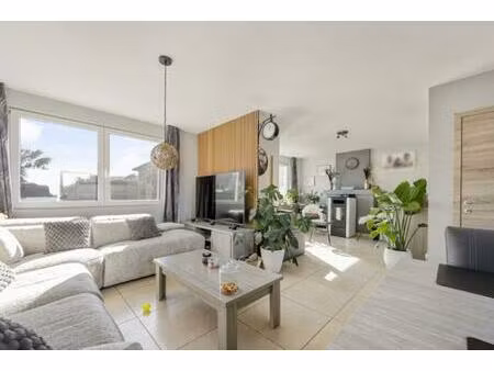 huis te koop in berlare