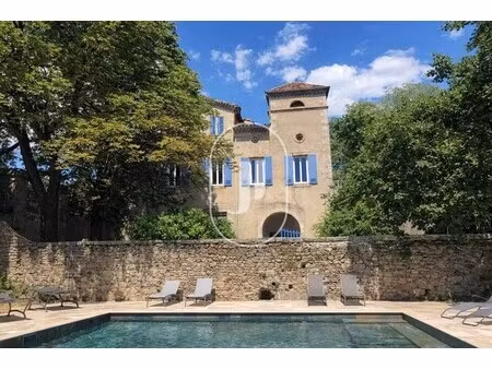 maison de luxe à vendre à saint-florent-sur-auzonnet : 970 000 € | 375m²