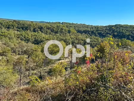 vente terrain ruoms 07120 - - surface privée