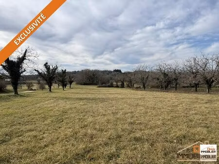 achat : terrain (46350)