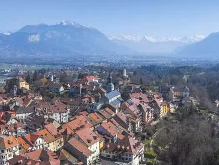 achat : appartement (74800)