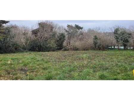 vente terrain à morgat (29160) : à vendre / 500m² morgat