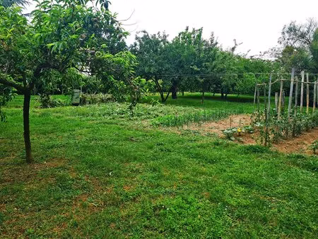 terrain vibilise plat de 1494m²