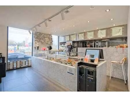 maison 1 ch à rixensart  rénovée  lumineuse (45)