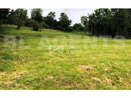 we invest thibault decouis