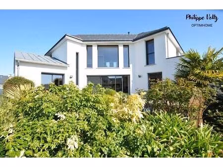 voltz philippe agent mandataire optimhome