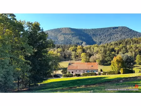 vente ferme 5 pièces 230 m² à sainte-marie-aux-mines (68160)  849 000 €