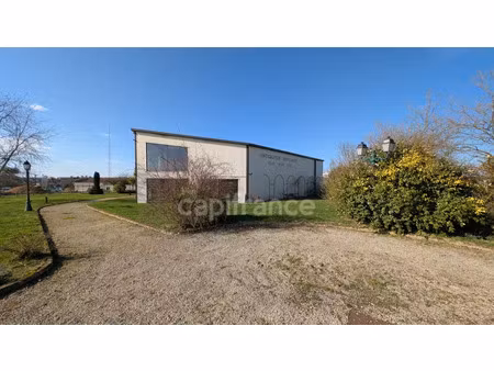 vente local industriel 650 m² chandai (61300)