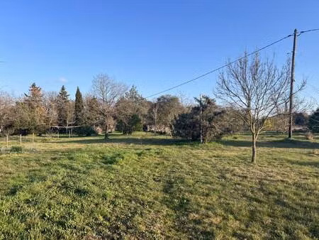 toi mon toit immobilier