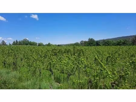 terrain champêtre/forestier à vendre