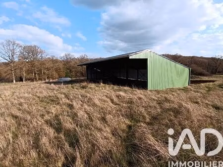 vente terrain 11588 m² villiers-saint-benoît (89130)