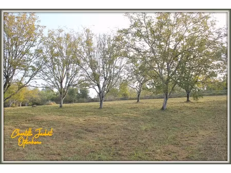 vente terrain 5090 m² à chalais (16210)  44 000 €