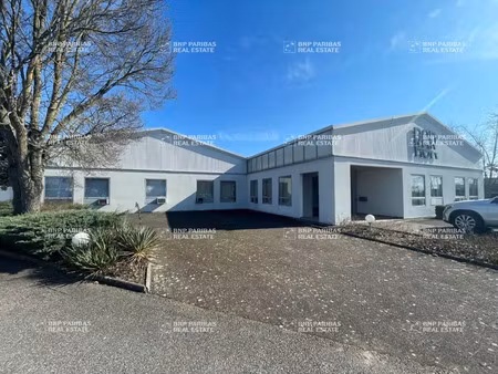 vente local d'activités entzheim 67960