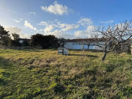 vente terrain à batir 833 m² à saint-pierre-d'oléron (17310)  181 900 €