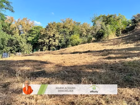 vente terrain 4348 m² à saint-martin-la-plaine (42800)  205 000 €