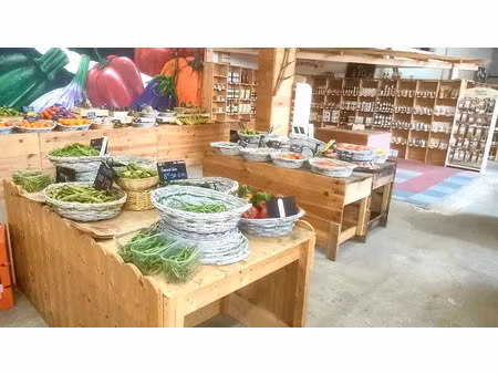 vente locaux professionnels 280 m² à prades (66500)  40 000 €